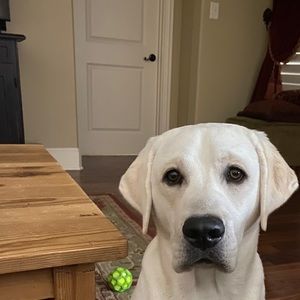 Meet your Posher, John